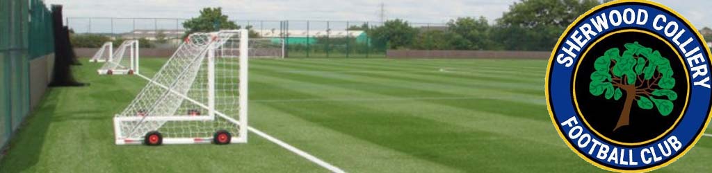 Brunts Academy 3G